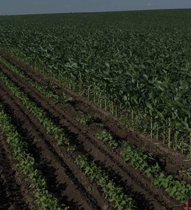 Imagen izquierda de Por qué elegirnos